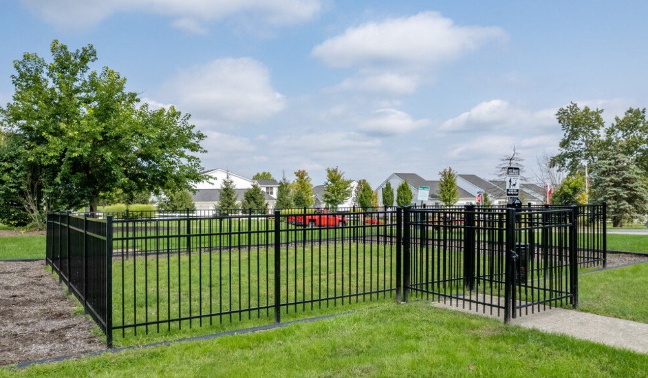 Dog Park